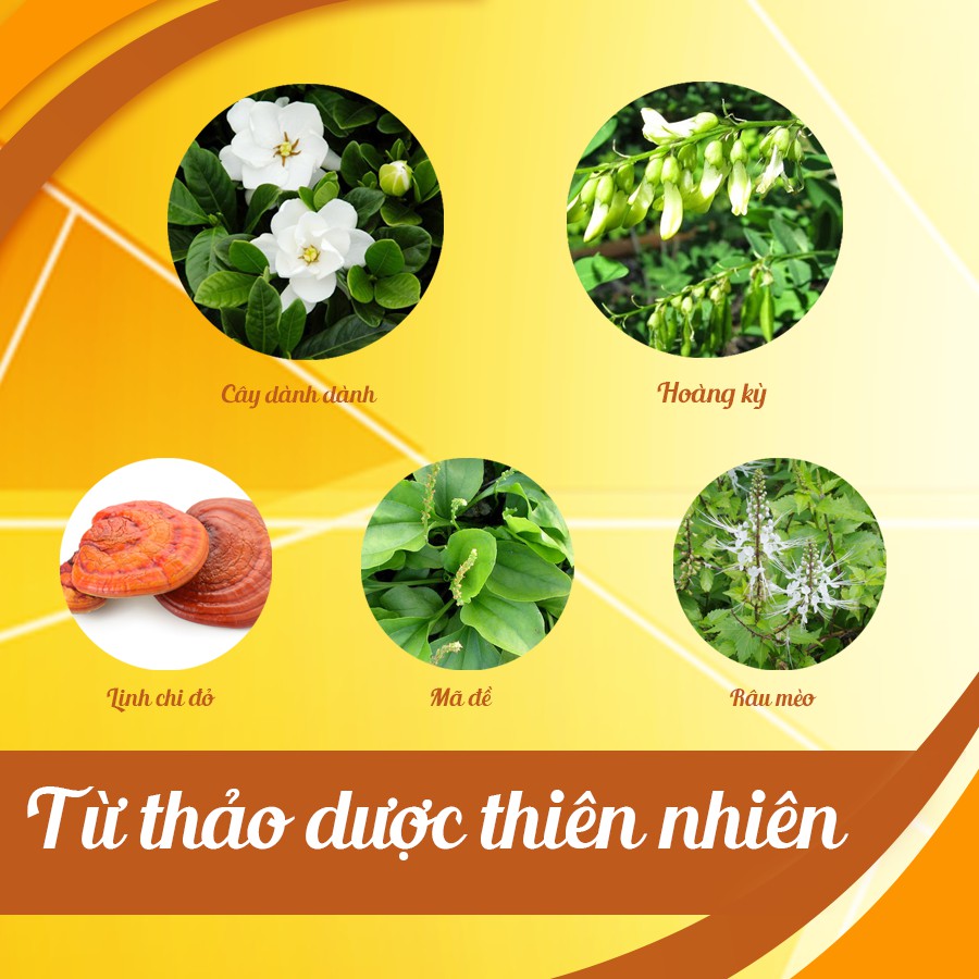 Ích Thận Vương - Hộp 180 Viên uống dành cho người suy thận, chạy thận - cvspharmacy