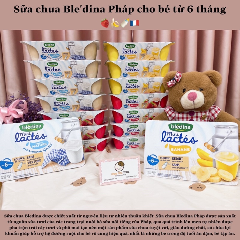 Sữa chua nguội Bledina Pháp cho bé từ 6 tháng  👶🏻🍓🍌
