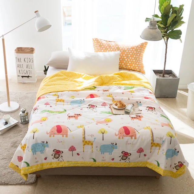 Chăn hè thu cotton lụa Korea
