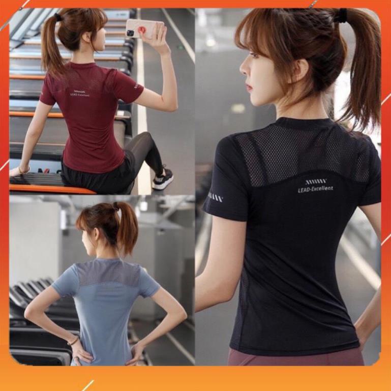 Áo tập gym yoga nữ - áo phông thun cộc tay phối lưới nhẹ thoáng SUNNY SPORT