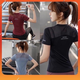 Áo tập gym yoga nữ - áo phông thun cộc tay phối lưới nhẹ thoáng SUNNY SPORT