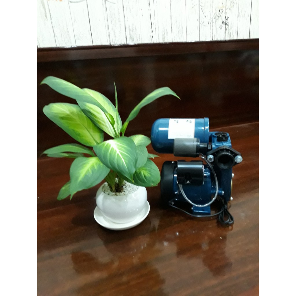 Máy bơm tăng áp Panasonic A-130JAK