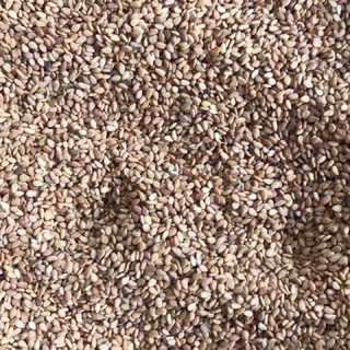 100gr mè vàng rang sẵn