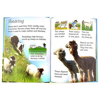 Bộ nhập 10q - Usborne Biginners Animals