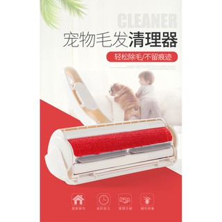 cây lấy lông mèo-cây lăn lông mèo