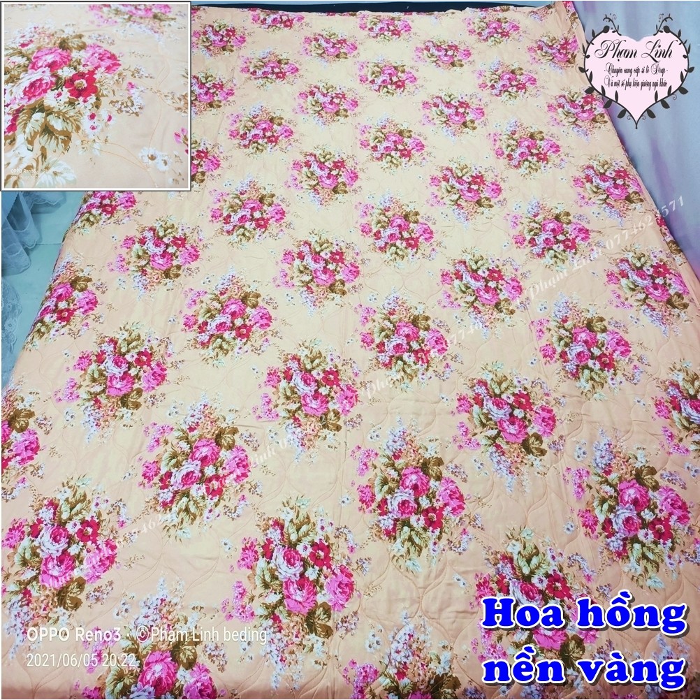 [Mền hè] Chăn cotton poly chần bông sử dụng được 2 mặt [size 1m6x2m]