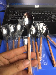 combo 5 thìa inox sin cán gỗ