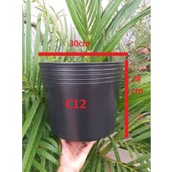 Combo 10 chậu nhựa đen C12