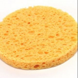 Bọt biển rửa mặt