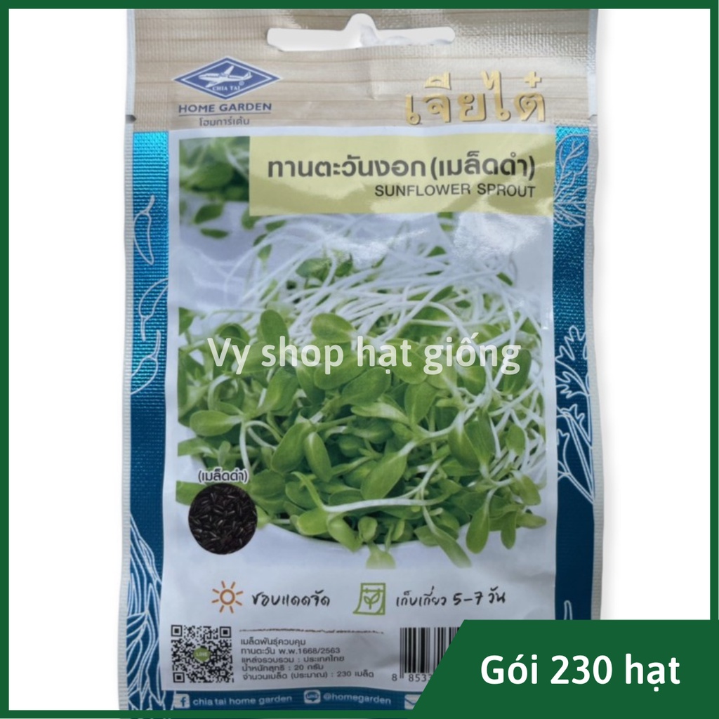 Hạt giống rau mầm hướng dương Thái Lan gói 230 hạt