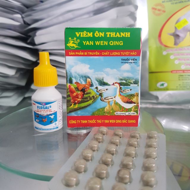 COMBO VIÊM ÔN THANH viên ôn thanh VÀ FLOSAL D