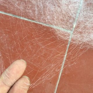 Lưới 3 màn bắt cá rô, cá diếc