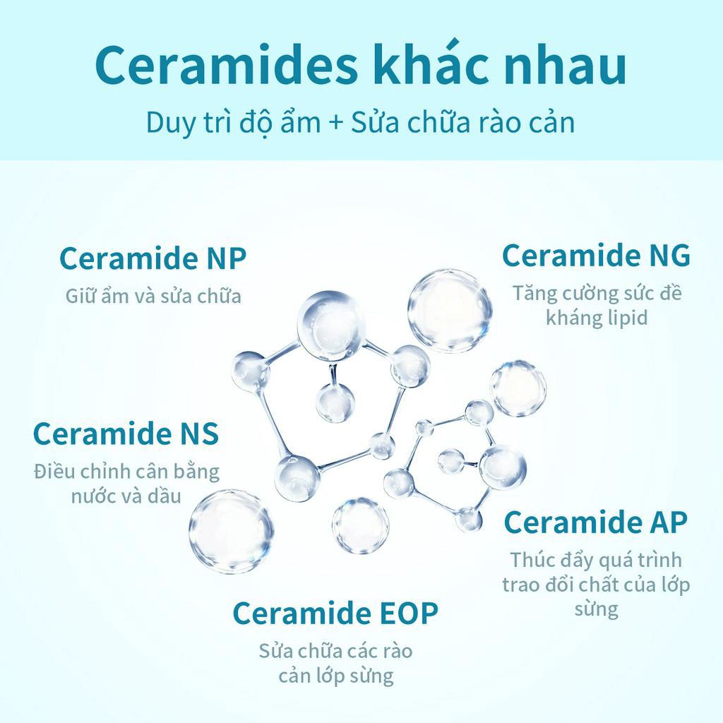 PAPA FEEL Rửa mặt tạo bọt 5X Ceramide Cho da dầu nhạy cảm 100ml