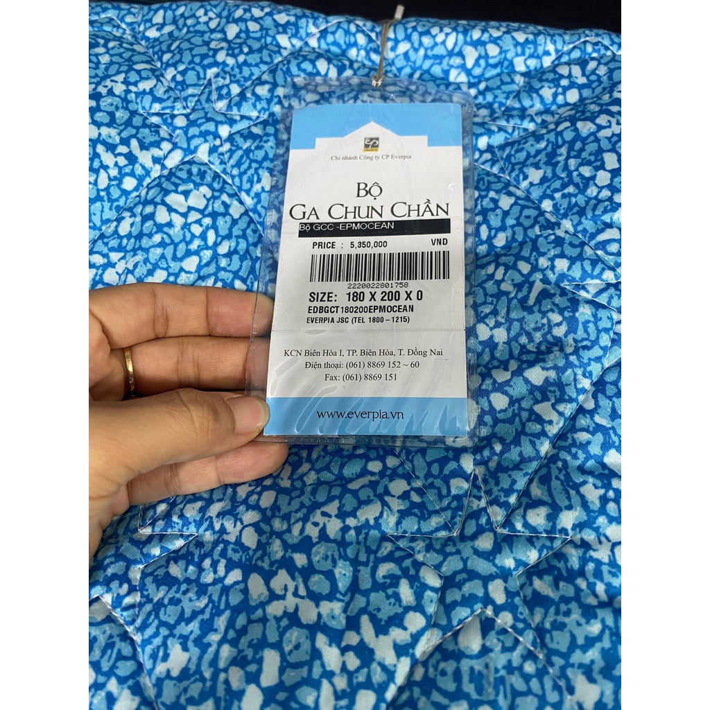 Bộ Drap phủ, chun chần EVERON ocean