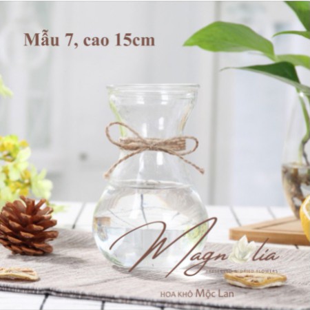 Lọ hoa thủy tinh phong cách vintage nhiều mẫu (không kèm hoa, không quấn dây) - TẶNG KÈM 2m dây thừng