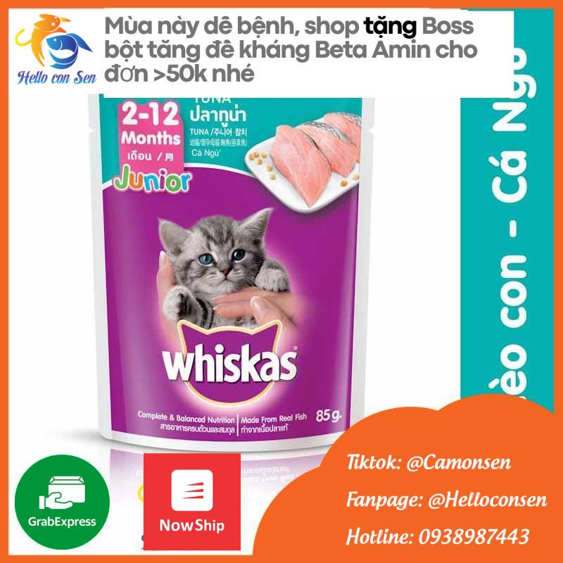 Combo 6 PATE CIAO/ PATE NEKKO/ PATE WHISKAS mix vị cho mèo trưởng thành