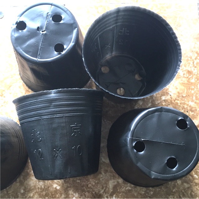 1kg túi bầu ươm cây chọn size