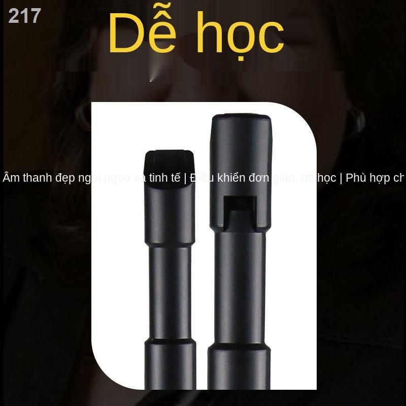 【2021】Còi mới học Sáo thiếc treble Tiếng Ailen D phím 6 lỗ dành cho người bắt đầu kèn clarinet nhạc cụ Celtic