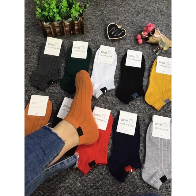 Tất nữ 7 màu nữ cổ ngắn phong cách Vintage hàng xuất Hàn xịn