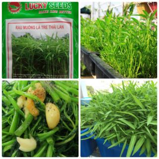 [SALE_1H] Hạt Giống Rau Muống Lá Tre F1 - 40 gram