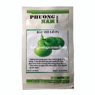 10h - hạt giống bầu hồ lô