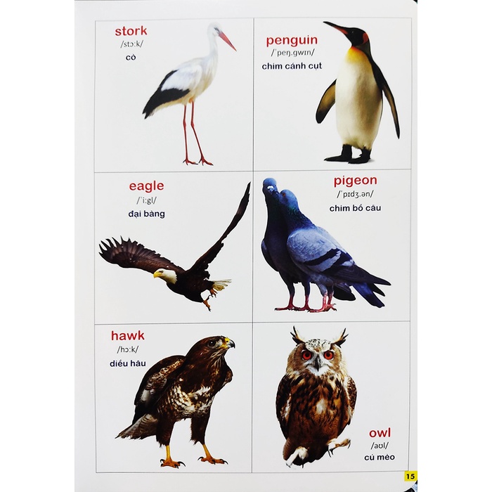 Sách - Bách khoa bằng hình đầu tiên cho bé Đại Mai book - Tập 2 - Quét mã QR để nghe đọc