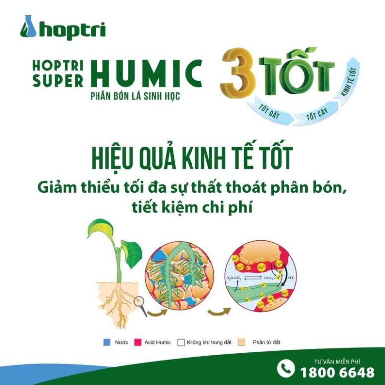 Humic hợp trí - phân bón super humic hợp trí  dạng bột