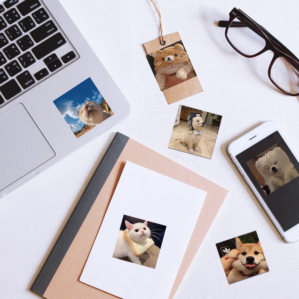 Bộ 48 miếng dán trang trí hình động vật dễ thương