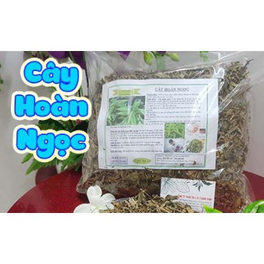 1kg cây hoàn ngọc khô chuẩn hàng loại 1