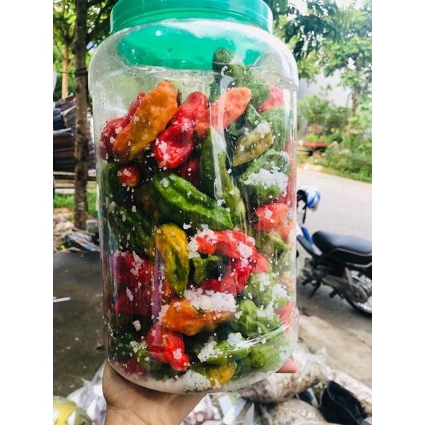 Ớt Trung Đoàn Mường Tè