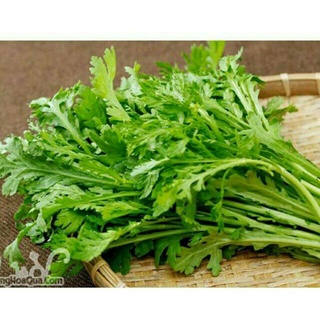 hạt giống cải cúc ( tần ô ) 100 hạt . nãy mầm 95%