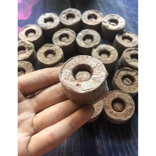 Viên Nén Ươm Hạt Xơ Dừa