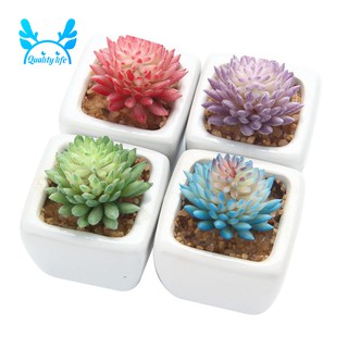 Bộ 4 hoa sen đá giả kèm chậu cây