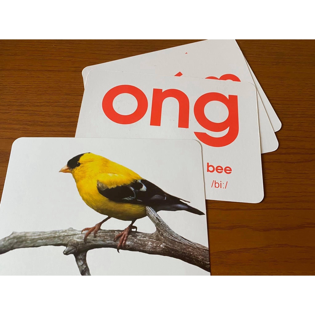 Thẻ học A5 ép Plastic,Ko THẤM NƯỚC, siêu BỀN ĐẸP, dạy bé nhận biết TGXQ