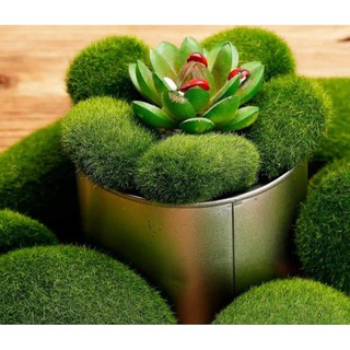 Đá Rêu cục trang trí( bịch to)