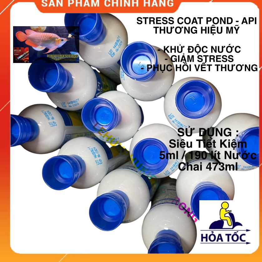 STRESS COAT POND Giảm Stress, Xử Lý Nước, Khử Clo Cho Bể Cá Cảnh, Chai 473ml Chính Hãng API MỸ