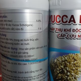 YUCCA - HẤP THU KHÍ ĐỘC TRONG AO NUÔI TÔM CÁ