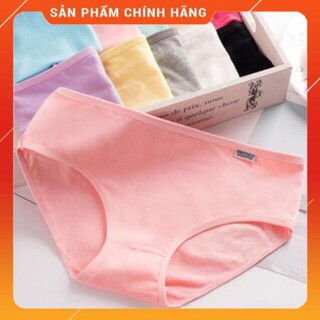 Ms1010 combo 5 quần lót cotton pulo