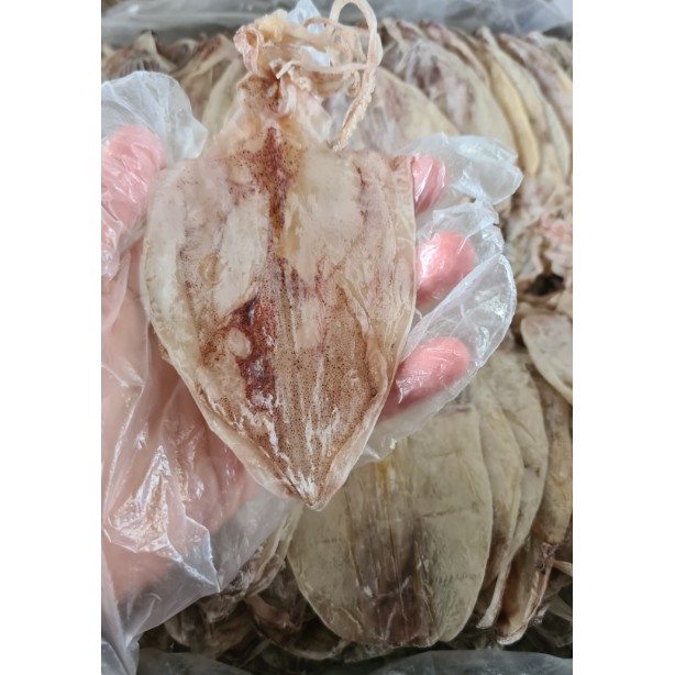  1Kg Mực Khô (Size 90 - 110 con 1kg) - Đặc Sản Thịnh Long JoJo Seafood | BigBuy360 - bigbuy360.vn