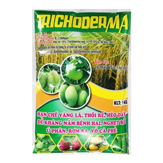 Chế phẩm phân huỷ rơm rạ, ủ phân vi sinh nấm đối kháng Trichoderma