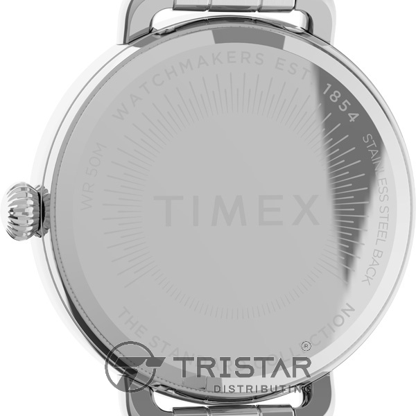 Đồng hồ Nữ Timex Standard Demi 30mm TW2U60300 Dây Kim Loại - Chính Hãng