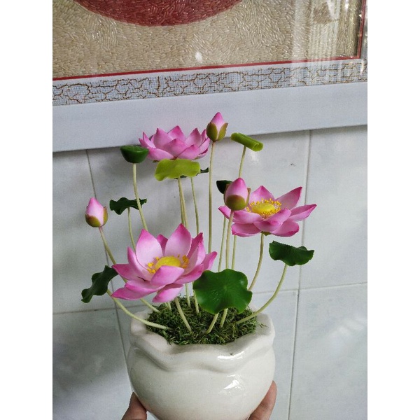 Chậu sen đất sét size nhỏ