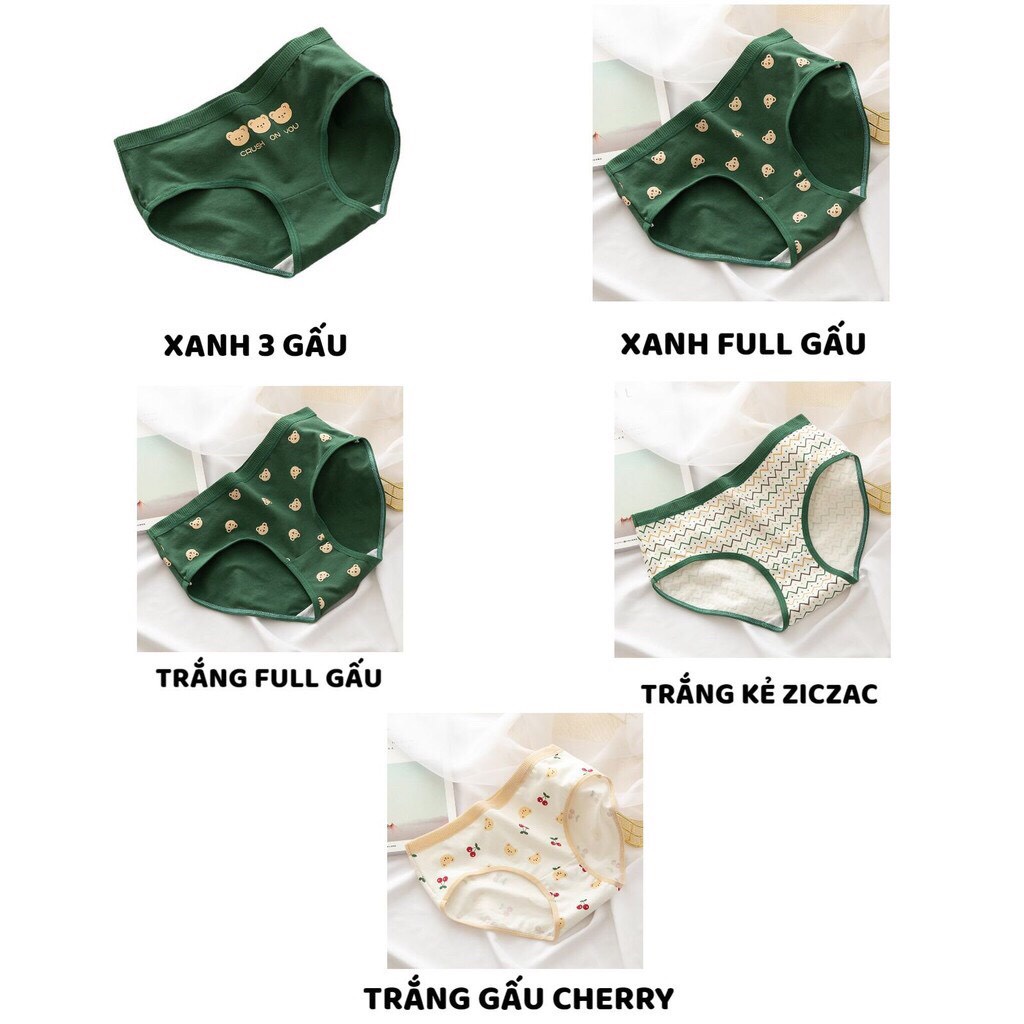 Quần Lót Nữ - Quần Cotton Nữ họa tiết gấu xanh đáng yêu ngộ nghĩnh DAN STORE MÃ 1768