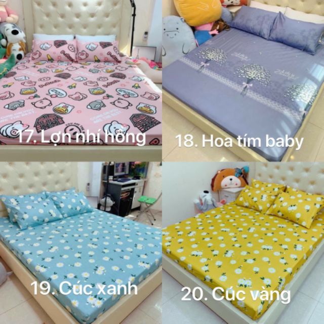 Trọn bộ ga gối chun cotton poly ( không kèm chăn ) | BigBuy360 - bigbuy360.vn