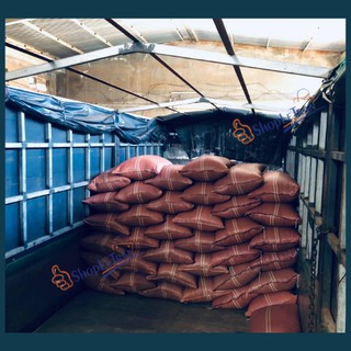 Cà Phê Arabica 100% Đắk Lắk cao cấp rang xay [Tiêu chuẩn xuất khẩu]
