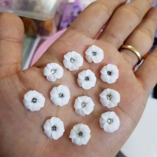 Hoa đậu ( gạt ảnh xem màu)