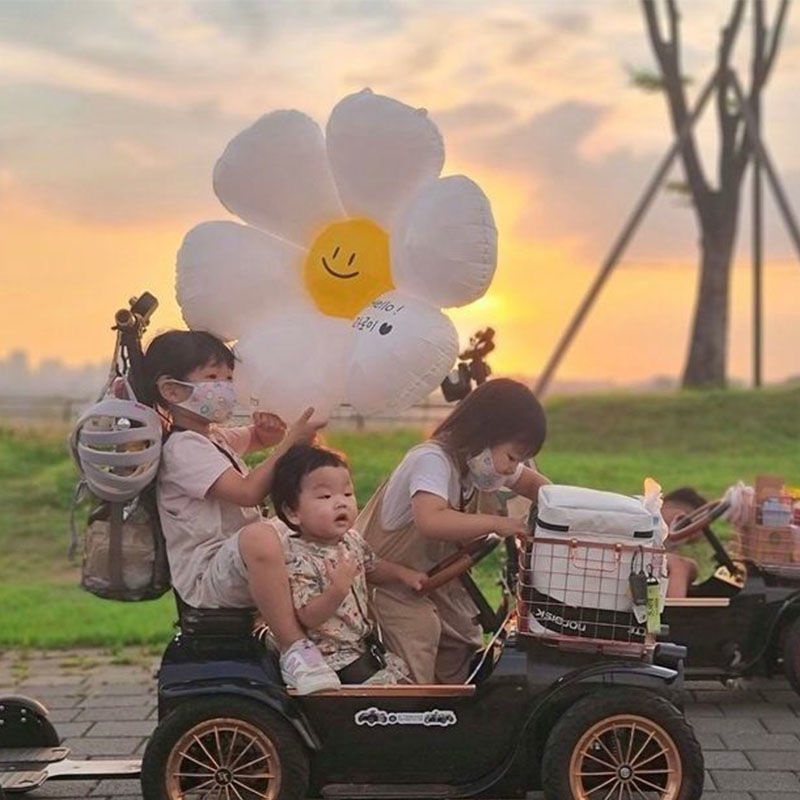 Bong Bóng Lá Nhôm Hình Hoa Cúc 4D Dùng Trang Trí Tiệc Sinh Nhật / Tiệc Tùng