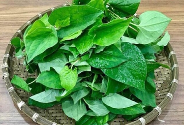 Bột diếp cá nguyên chất