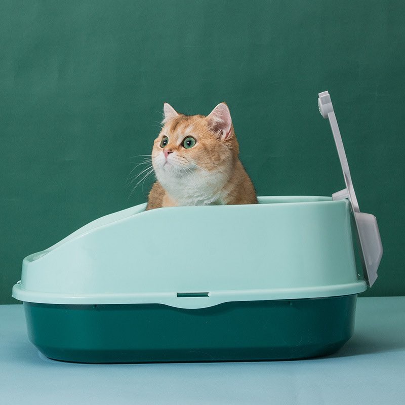 khay vệ sinh màu sắc 2 size cho mèo