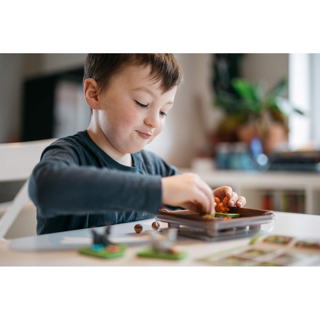 Set trò chơi board game Sóc lăn hạt thông minh xếp hình 6 chú sóc vui nhộn